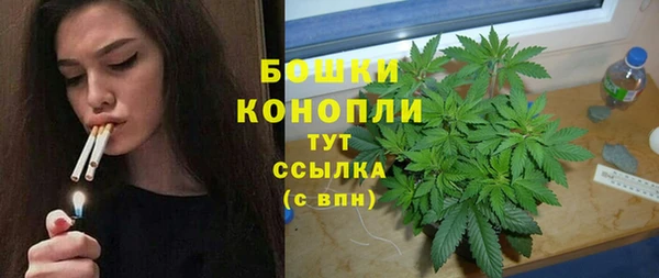 гидра Абаза