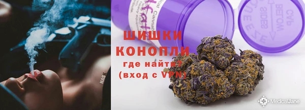 гидра Абаза