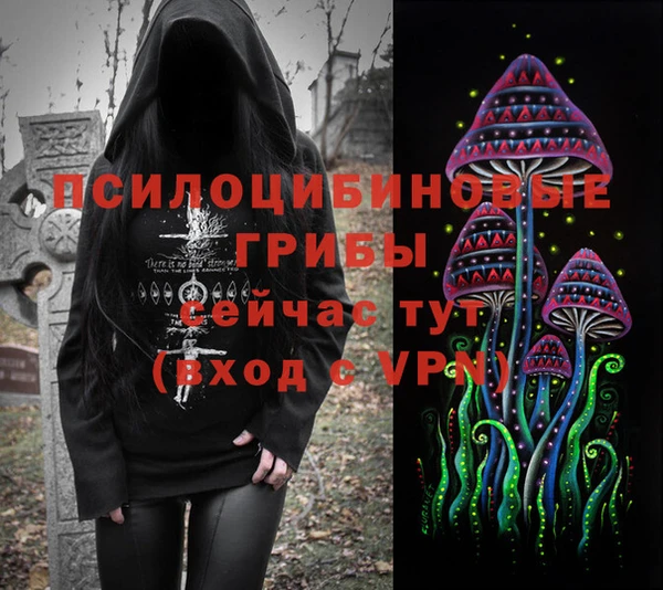 гидра Абаза