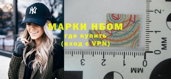 гидра Абаза