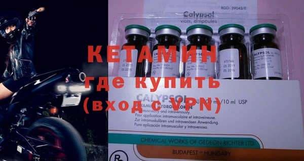 гидра Абаза